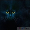 Sommersweat RAPPORT  Katze ( blau-schwarz) 1 st.